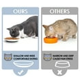 thumbnail image 6 of Quyimy Non-Slip Ceramic Cat Bowl, Cat Food Bowl with Silicone Base, Anti Whisker Friendly Cat Bowl for Food and Water, Shallow Cat Food Dish for Cats, Kitten, Small Dogs (Fihsbone), 6 of 8