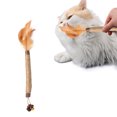 thumbnail image 5 of Juguetes Interactivos Ganfancp para Gatos Catnip Crinkle Sonido Suaves y Robustos Liquidación 1X Juguete Morde, 5 of 5