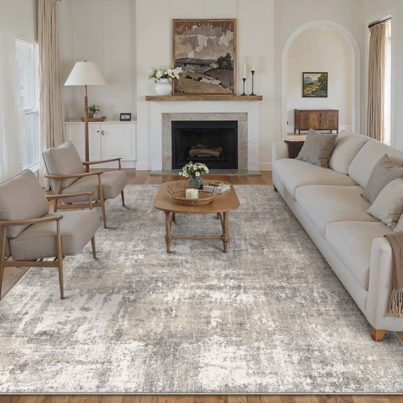 BERTHMEER 6'x9' Abstract Area Rugs for Living Room Clearance Bedroom Dining Room Office Farmhouse Contemporary Neutral Distressed Machine Washable, Beige Gray