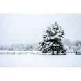 thumbnail image 3 of Hausenflock, Alan 18x13 Black Modern Framed Museum Art Print Titled - Snowy Sentinel, 3 of 5