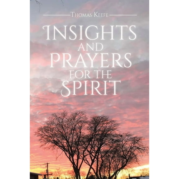 Insights and Prayers for the Spirit, (Paperback)