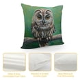 thumbnail image 4 of Orinice Owl Branch Green Background Graphic Decorative Cushion Throw Pillow Cover 24x24in, 4 of 5