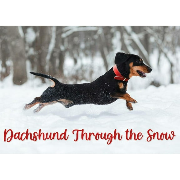Dachshund Through the Snow Christmas Card with Greeting Card Mailing Envelope