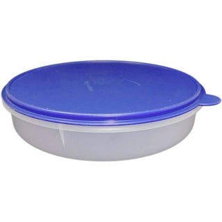 Tupperware Pie Cookies Cupcake & Pizza Container 12 Large Round Blue Seal  New