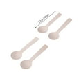 thumbnail image 2 of unbranded  200 Pcs Clear Appetizers Condiment Serving Utensils Honey Spoon, 2 of 8