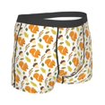 thumbnail image 2 of KLL Squirrel Eating Nuts Men's Cotton Boxer Briefs Underwear-X-Large, 2 of 8