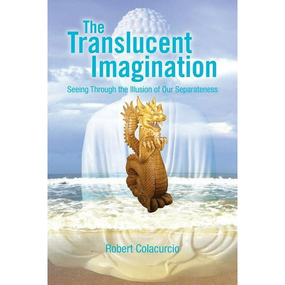 The Translucent Imagination (Paperback)