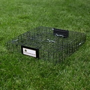 Rugged Ranch Squirrelinator مع مصيدة سنجاب خارجية متعددة الصيد Drop Basin