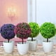 thumbnail image 3 of Farfi Bonsai artificial Lifelike No desvanecimiento Plastic Simulación Plantas Flores Decoración para mesa Farfi 21006281, 3 of 6
