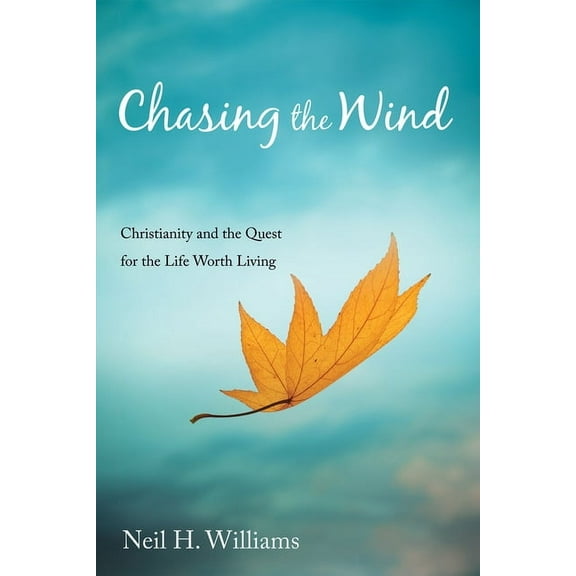 Chasing the Wind (Hardcover)