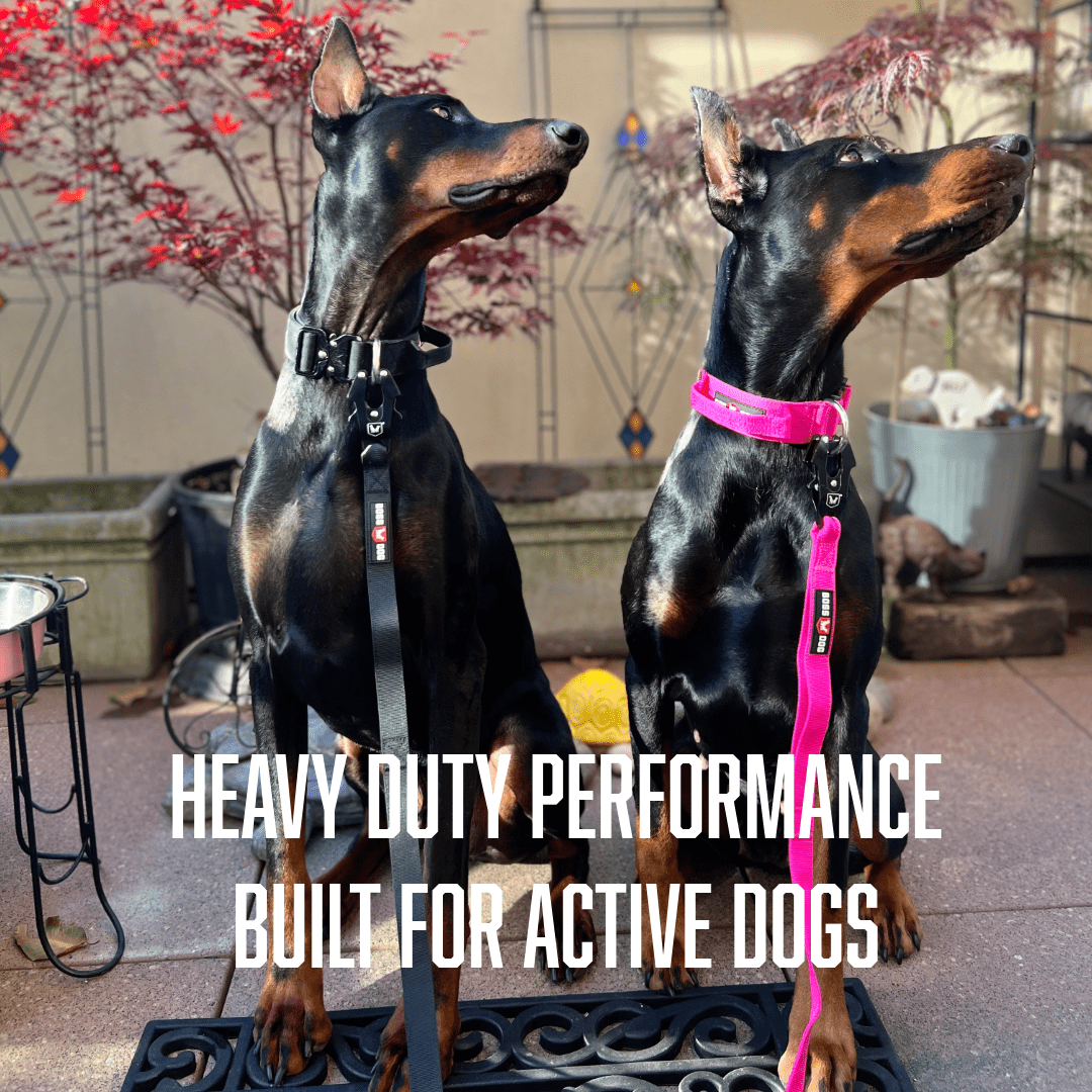 Boss Dog Proseries™  Heavy Duty, Padded Safety Collar, Hot Pink, XL