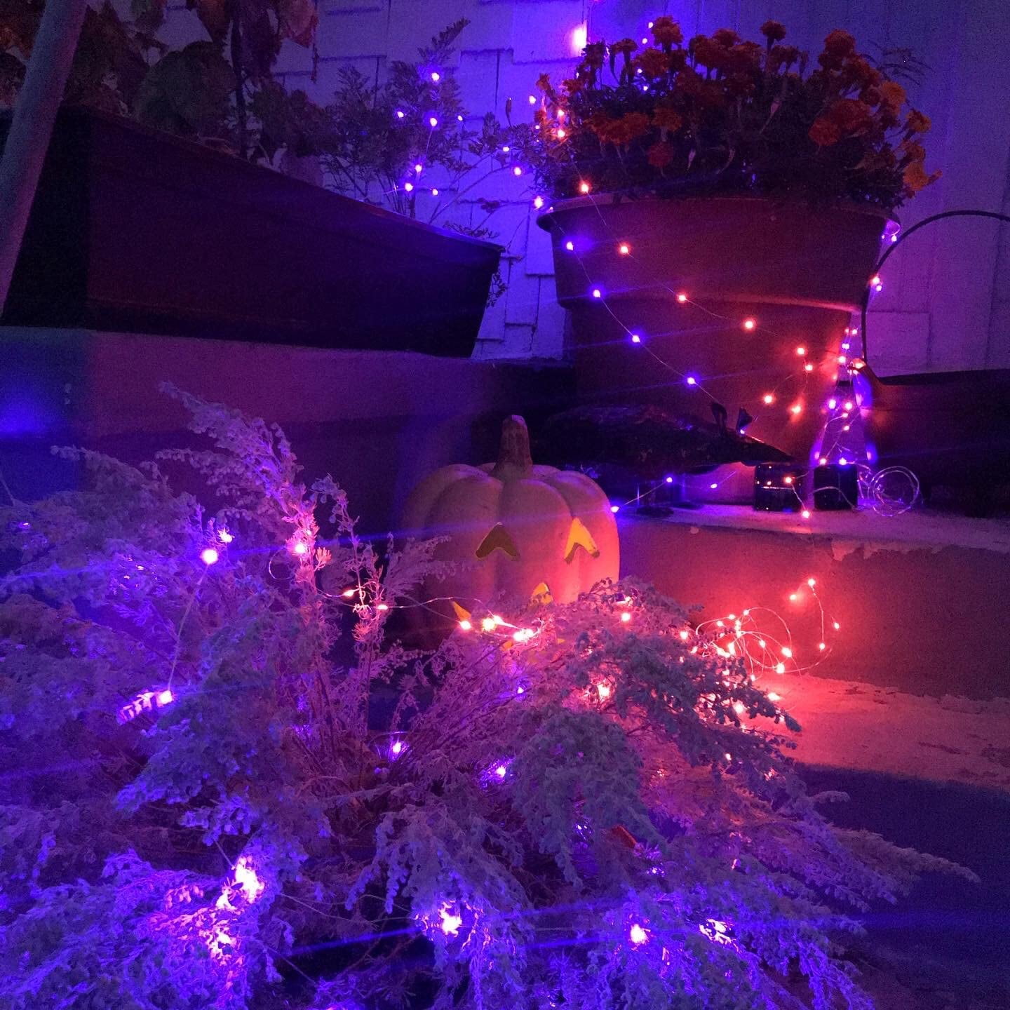 Purple Solar Fairy Lights Outdoor Waterproof, 2 Pack Each 33ft 100 LED Solar String Lights, 8 Modes Silver Wire Solar Twinkle Lights for Halloween Christmas Patio Garden
