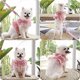 thumbnail image 4 of 2 Pack Dog Harness and Leash Set for Outdoor Walking Escape Proof Soft Adjustable Ruffles Design Cute Pink Cat Dress Lace Mesh Vest Easy on for Girl K, 4 of 4