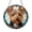 Acrylic 3.5 Inch, variant on Dog Stained Glass Style Window Suncatcher, Fantasy Canine Decorative Window Hanging Art, Active Dog Inspired Home Decor, Glass Style Window Accent for Living Space, Creative Gift for Dog Lovers