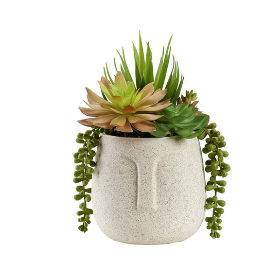 D&W Silks Mixed Succulents in Aztec Vase