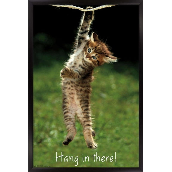 Famous Kitten Hang In There Poster Wall Poster, 14.725" x 22.375", Framed