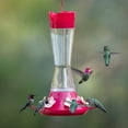 thumbnail image 6 of Perky-Pet Top-Fill Favored Pinch-Waist Glass Hummingbird Feeder – 20 oz, 6 of 10