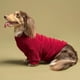 thumbnail image 4 of Suéter para perro Fitwarm, 3 unidades, forro polar, invierno, tamaño mediano, 4 of 8