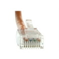 thumbnail image 4 of Cat6 Orange Ethernet Patch Cable, Bootless, 5 foot, 4 of 4