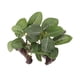 thumbnail image 3 of Plantas Plantas Artificiales Plantas Acuáticas Plantas Decorativas para Acuario Terrario Zulema  Plantas de agua de vivero de reptiles, 3 of 8