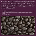 thumbnail image 2 of WinCrest Dark Chocolate Covered Cranberries - 1.5 Lb Tub, 2 of 7