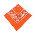 thumbnail image 1 of Naiovety Pañuelo de moda Pañuelo cuadrado Paisley Diadema Senderismo Muñeca Pañuelo Flor Pañuelo Regalos para Hombres Mujeres Naranja Type3 NO3, 1 of 6