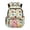 Cartoon Dinosaur Print, variant on Ice Cream Capybara Kids Backpack for Girls Boys, Sweet Kawaii Animal Print School Bag Lightweight/Breathable/Durable/Waterproof Multi-Pocket Book Bag for Kids 6-12 Back to School