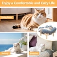 thumbnail image 4 of iFaveorr Elevated Cat Bed – Washable Flower Pet Cushion, Sturdy Wooden Frame, Heavy-Duty Lounge for Indoor Cats & Small Dogs, Gray, 4 of 7