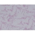 thumbnail image 2 of Zelouf Splatter Glitter On Tulle 1X  , Sewing, DIY, Crafts Fabric by the Yard, Navy/pink, 3 Yard, 2 of 2