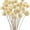 Beige, variant on 20 Pcs Dried Billy Balls Flowers,Happon 15.75” Natural Dried Flowers Bouquet for Vase Floral Arrangements Wedding Table Centerpieces Party DIY Home Decor (Beige)