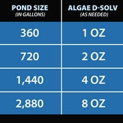 CrystalClear Algae D-Solv EPA-Registered Pond Algaecide, 16 Ounce