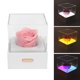 thumbnail image 1 of Regalos De Flores De Rosas Para Mujeres, Luz Nocturna De Rosas Multicolor En 3D, Regalos De Rosas Para Ella El Día De San Valentín, Regalos De Cumpleaños Para Mujeres, 1 of 7