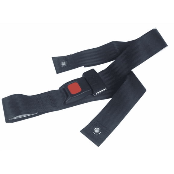 LumiJourney Wheelchair Seat Belt, Auto Style Closure, 48"