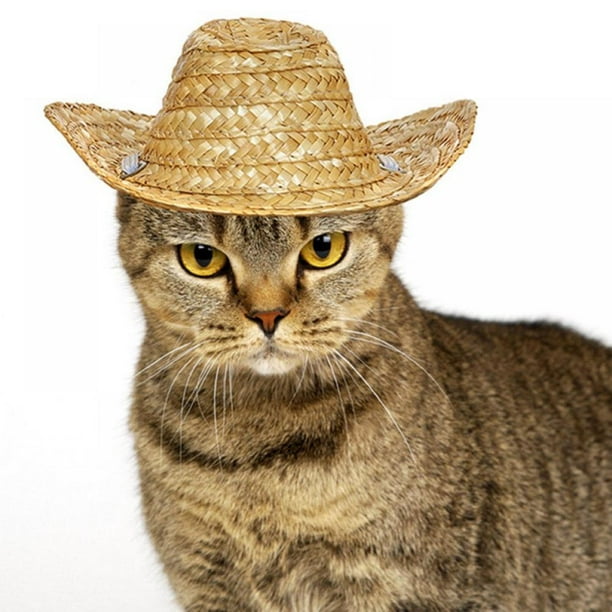 Jolly Cat Sombrero Hat, Cat Mexican Hats Mini Straw with Multicolor TrimSombrero Party for Pets/Puppy/Cat - Walmart.com