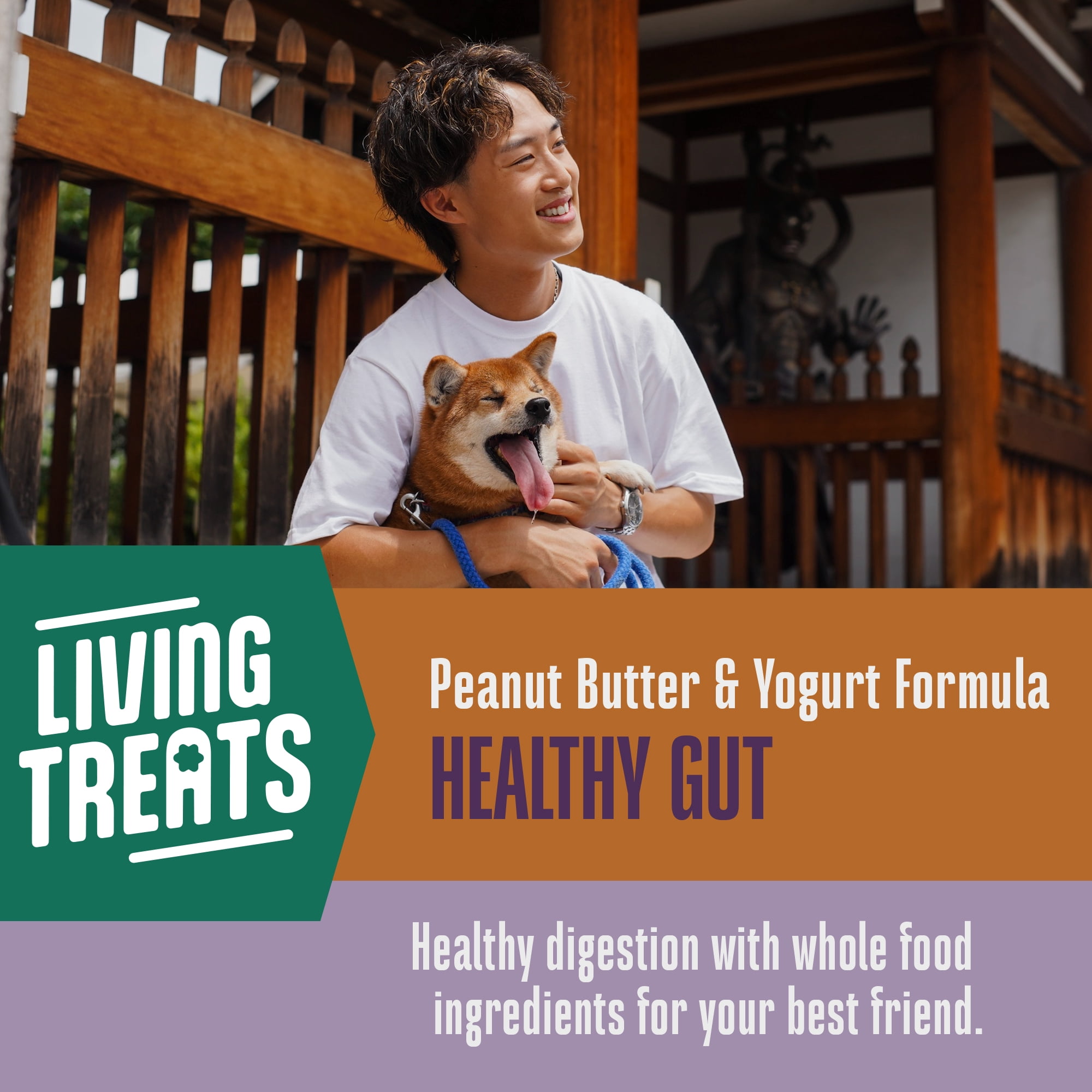 Whole Life Pet Living Treats – Peanut Butter and Yogurt Recipe Probiotic Treats For Dogs, 3oz