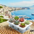 thumbnail image 5 of Amacok Mini Succulent Planters, Plant Containers for Succulent Cactus Flower, Indoor Outdoor Succulent Plant Pots with Tray, for Office, Desk, Window, 5 of 5