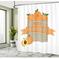thumbnail image 5 of Ambesonne Peach Shower Curtain, Fresh Ripe Fruits in a Box, 69"Wx70"L, Apricot Dusk and White, 5 of 5