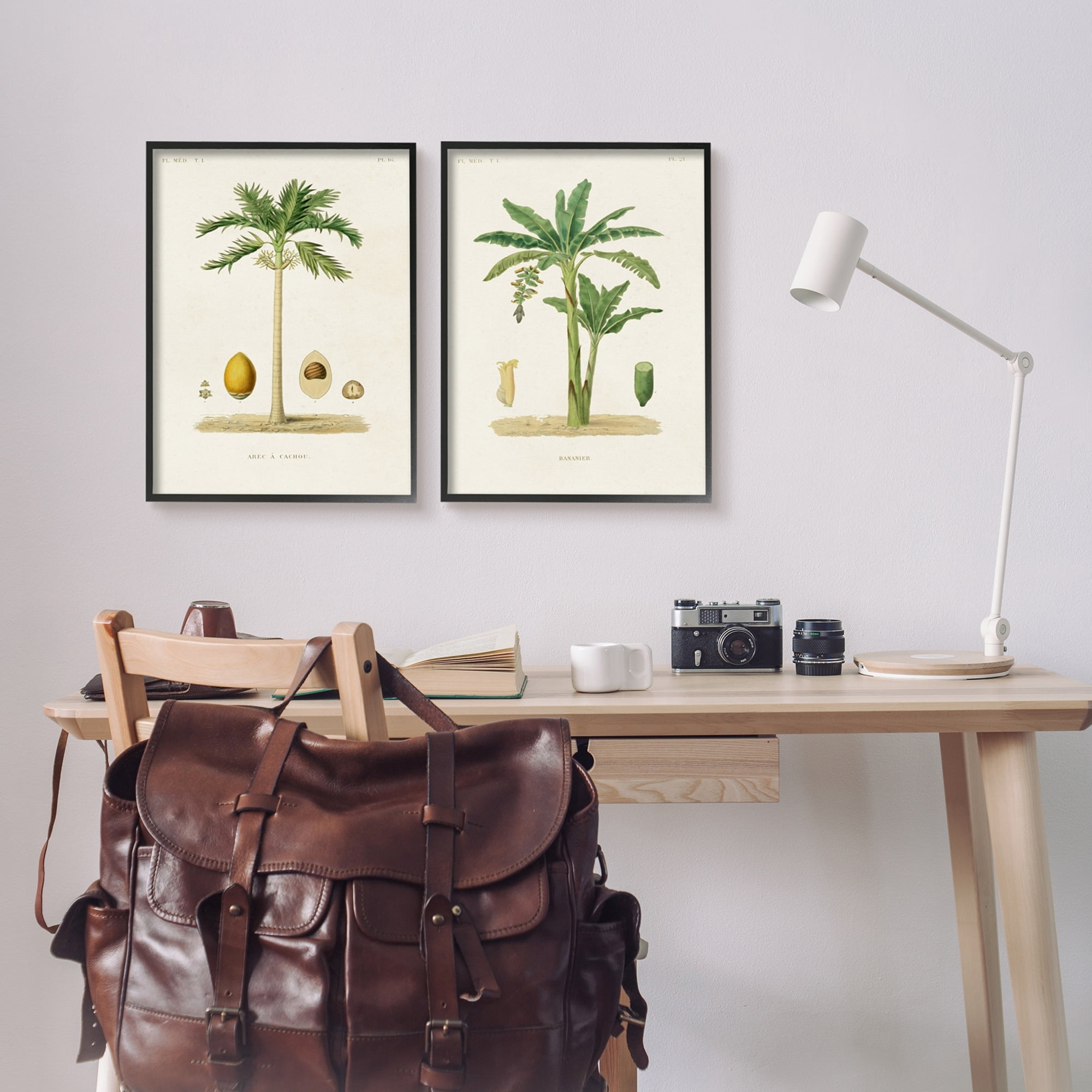 Stupell Industries Minimal Green Palm tree Coconuts Diagram Illustration Drawings Black Framed Art Print Wall Art Set of 2, 16x20, by World Art Group