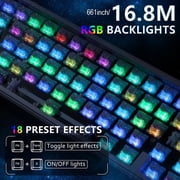 ATTACK SHARK X65 HE Magnetic Switch Rapid Trigger Keyboard 65% Wired Gaming Keyboard with 8000 Hz Polling Rate, 0.01mm RT Accuracy, PBT Keycaps, QMK Driver, RGB