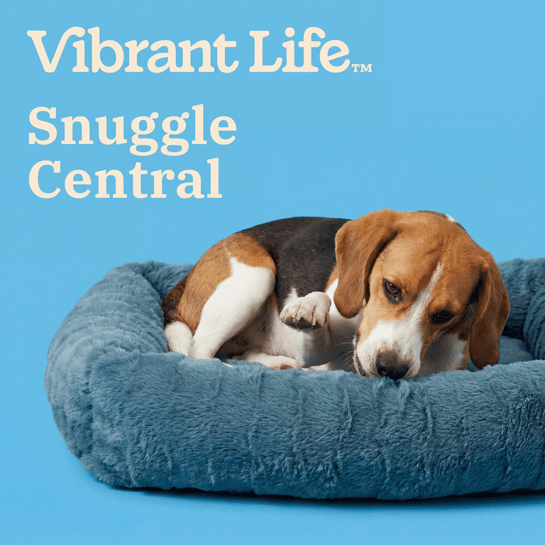 Vibrant Life Medium Bubble Fur Pet Bed, Blue photo 4