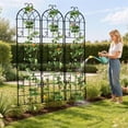 thumbnail image 3 of 3PCS Tall Metal GardenTrellis Heavy Duty Outdoor Backyard  Trellis Vine Plant Vegetables Climbing Support,  18.70x86.61 inch, Black, 3 of 13