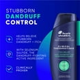 thumbnail image 4 of Head & Shoulders Clinical Strength Dandruff Defense Intensive Itch Relief Shampoo, 4 of 17