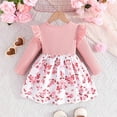 thumbnail image 4 of HOMADLES Toddler Girls Dress Crewneck Long Sleeve Solid Kid Girls Clothing Leisure Layered Dress Pink 18 Months, 4 of 9