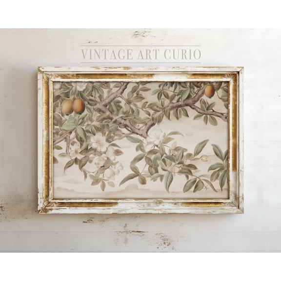Vintage Fruit Tree Botanical Art Print Home Decor UNFRAMED Poster, Wall Art for Decor, Present, 8x12