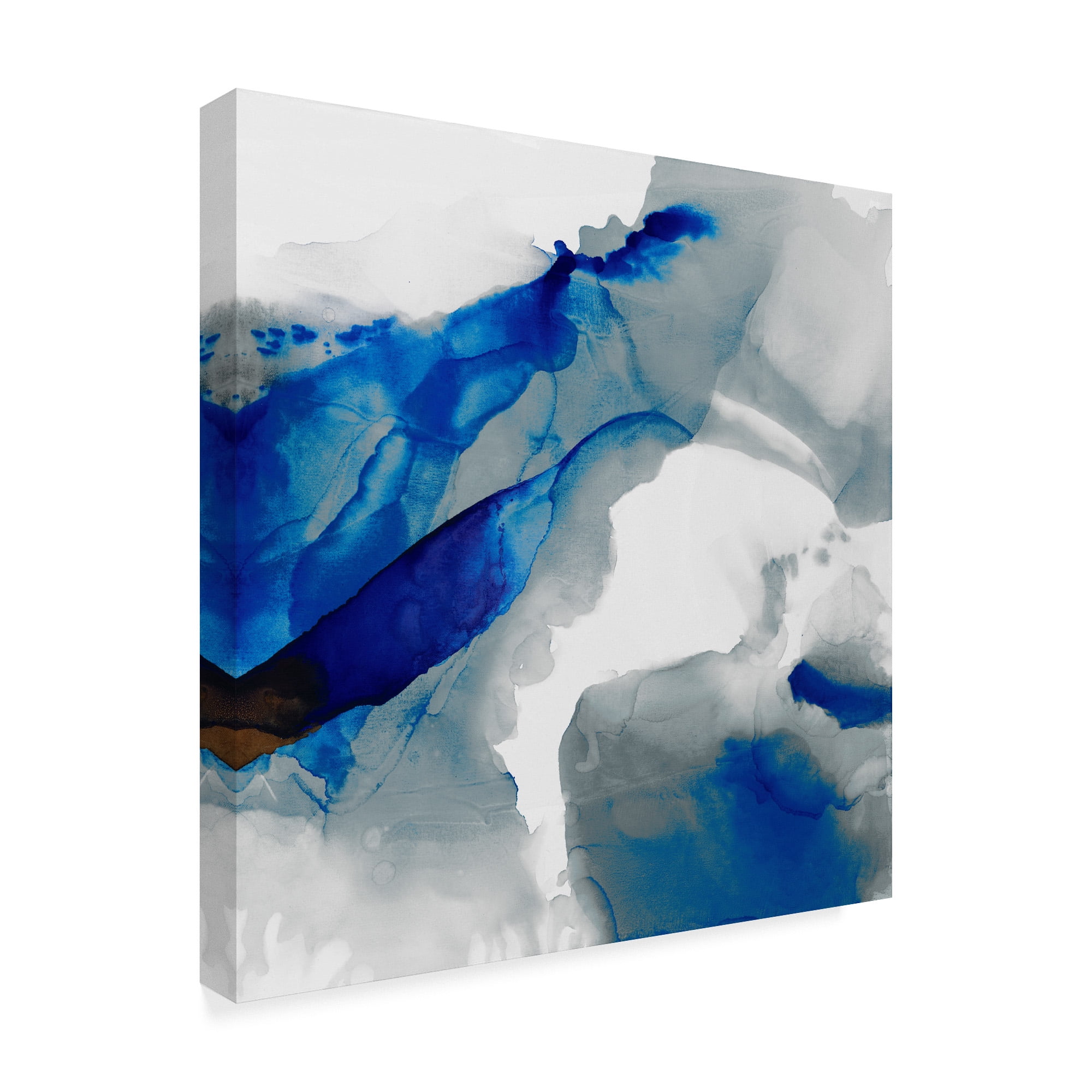 Trademark Fine Art 'Ephemeral III' Canvas Art by Sisa Jasper