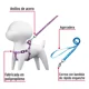 thumbnail image 3 of Correa Para Perro Pug, French Poodle, Con Pechera 6 Colores., 3 of 4