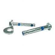 Rawl 411310 Rawl .38 in. x 2.25 in. 5P Bolt Stainless Steel
