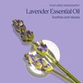 thumbnail image 4 of Baño espumoso L'Occitane Lavender 500 ml, 4 of 6