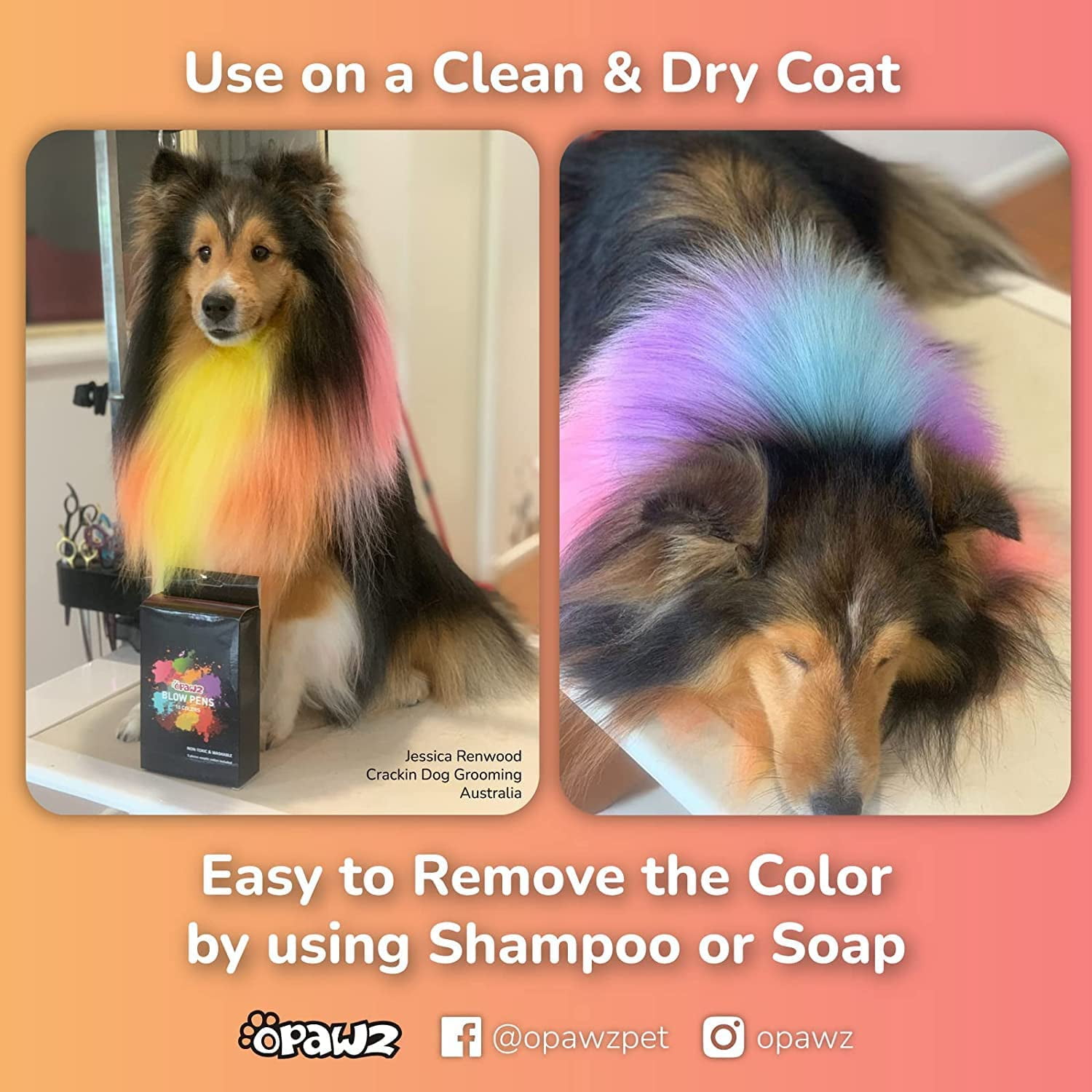 OPAWZ 10pcs Blow Pen Temporary Dog Hair Dye with 24pcs Tattoo