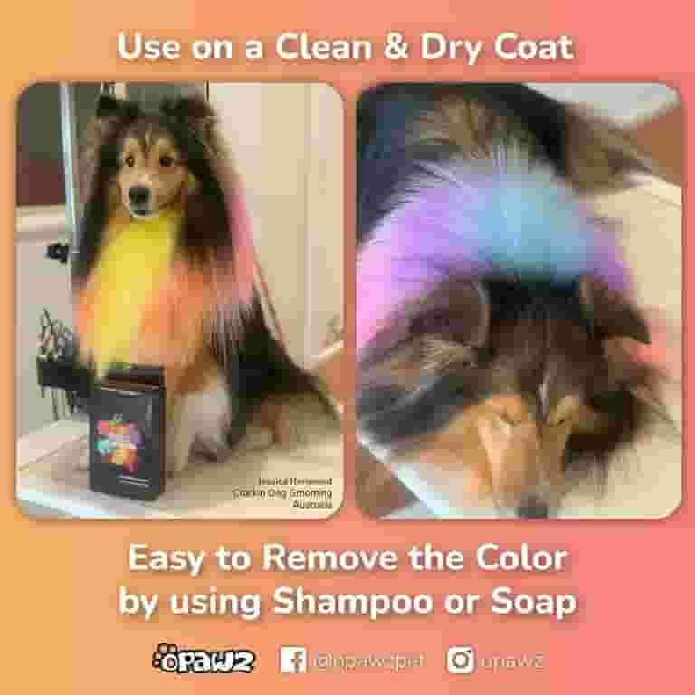 OPAWZ 10pcs Blow Pen Temporary Dog Hair Dye with 24pcs Tattoo